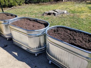 water trough planters all finished